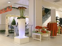 Galeria Inno Brussels 14