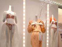 WireTap Carschhaus 06