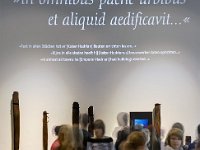 Projektion in omnibus 02