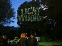 Lichtwuchs_1  Lichtwuchs, 2015. Lichtinstallation im Garten eines Privathauses in Köln, realisiert mit Derksen-Projektoren