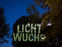Lichtwuchs_2  Lichtwuchs, 2015. Lichtinstallation im Garten eines Privathauses in Köln, realisiert mit Derksen-Projektoren